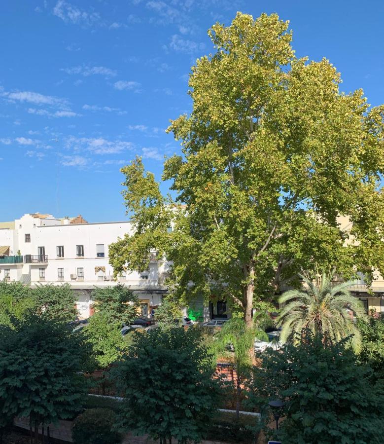 Acogedor Apartamento En Pleno Corazon De Triana إشبيلية المظهر الخارجي الصورة